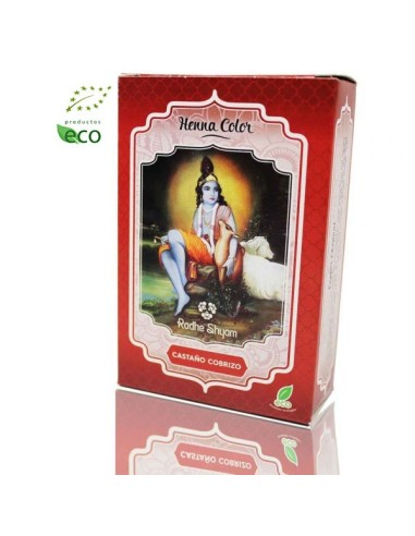 PÓ DE CASTANHA DE COBRE HENNA RADHE