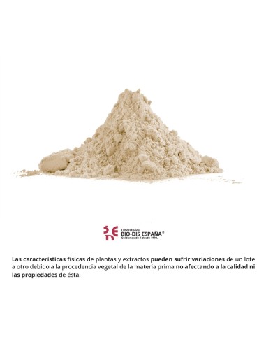 JENGIBRE - NATURE ESSENTIAL - 400 MG - 50 CÁPSULAS