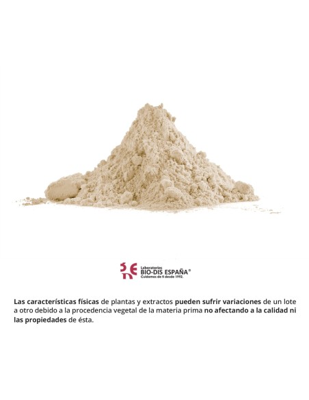 GENGIBRE - NATURE ESSENTIAL - 400 MG - 50 CÁPSULAS