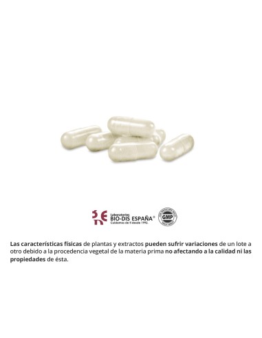 CHITOSANA + GARCINIA - NATURE ESSENTIAL - 450 MG - 100 CÁPSULAS