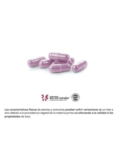 ARÁNDANO - NATURE ESSENTIAL - 1000 MG - 50 CÁPSULAS 2