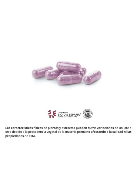 ARÁNDANO - NATURE ESSENTIAL - 1000 MG - 50 CÁPSULAS