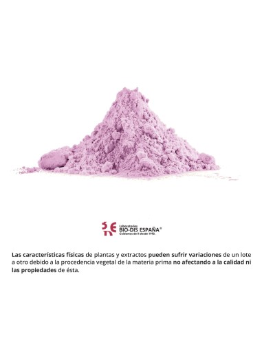 ARÁNDANO - NATURE ESSENTIAL - 1000 MG - 50 CÁPSULAS