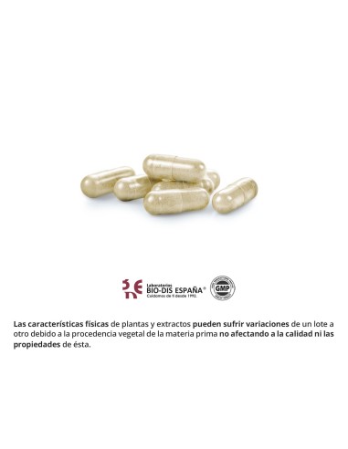 SILICIO - OBIRE – 25 MG - 90 CÁPSULAS
