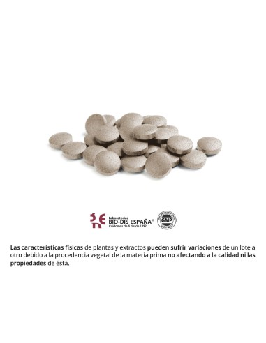 DIENTE DE LEON (EXT. SECO) - OBIRE - 500 MG - 100 COMPRIMIDOS