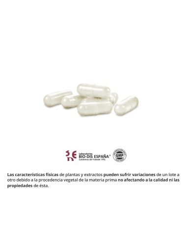 COLÁGENO MARINO + MAGNESIO - NATURE ESSENTIAL - 600 MG - 60 CÁPSULAS