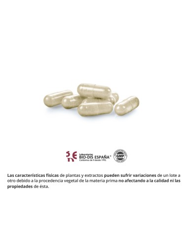 OPUNTIA - OBIRE - 500 MG - 60 CÁPSULAS
