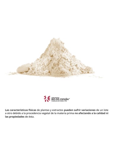 OPUNTIA - OBIRE - 500 MG - 60 CÁPSULAS