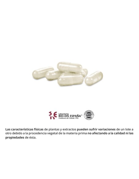 GARCINIA CAMBOGIA (EXT. SECO 60 % HCA) - OBIRE - 300 MG - 60 CÁPSULAS