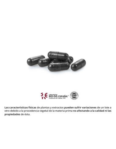 CARVÃO ACTIVADO - OBIRE - 300 MG - 60 CÁPSULAS