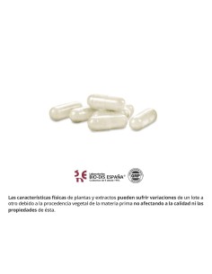 GINSENG VERMELHO - NATURE ESSENTIAL - 500 MG - 50 CÁPSULAS 2