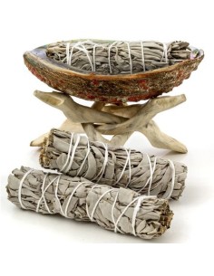 SALVIA HIERBAS DE SANTERÍA - USO EXCLUSIVO ESOTERICO 2