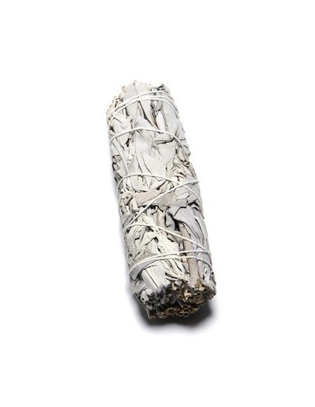 SALVIA ERVAS DE SANTERÍA - USO EXCLUSIVO ESOTERICO