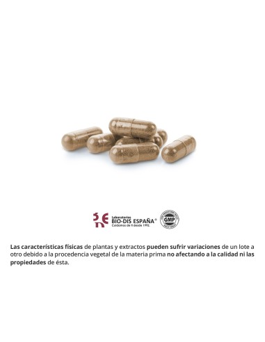 GRIFFONIA 500 MG (5-HTP) + MAGNESIO + B-6 - NATURE ESSENTIAL - 60 CAPSULAS