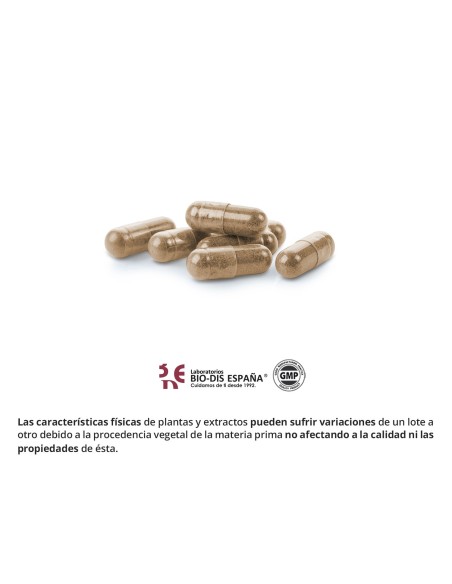 GRIFFONIA 500 MG (5-HTP) + MAGNESIO + B-6 - NATURE ESSENTIAL - 60 CAPSULAS