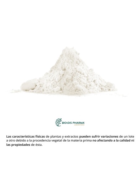 L-GLUTAMINA - NATURE ESSENTIAL - 400 MG - 50 CÁPSULAS