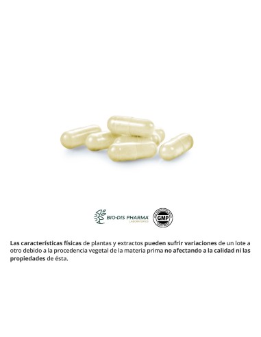 EXTRACTO SECO DE CARDO MARIANO - NATURE ESSENTIAL - 200 MG - 50 CÁPSULAS