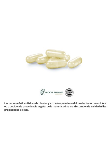 EXTRACTO SECO DE CARDO MARIANO - NATURE ESSENTIAL - 200 MG - 50 CÁPSULAS