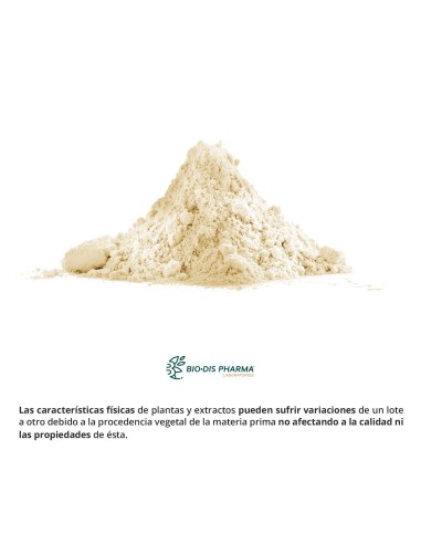 EXTRACTO SECO DE CARDO MARIANO - NATURE ESSENTIAL - 200 MG - 50 CÁPSULAS