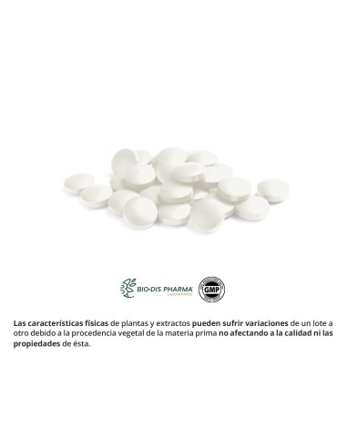 VITAMINA B-6 - NATURE ESSENTIAL - 60 COMPRIMIDOS
