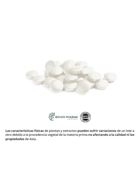 VITAMINA B-6 - NATURE ESSENTIAL - 60 COMPRIMIDOS
