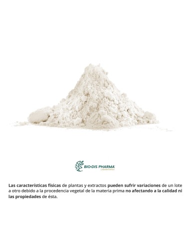 VITAMINA B-6 - NATURE ESSENTIAL - 60 COMPRIMIDOS
