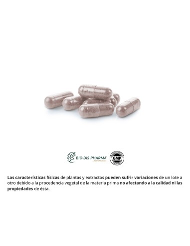 CRANBERRY 5000 MG (EXTRACTO SECO 200 MG)-...