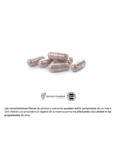 ARANDANO ROJO 5000 MG (EXTRACTO SECO 200 MG) - NATURE ESSENTIAL - 60 CÁPSULAS