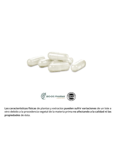 L-ARGININA - NATURE ESSENTIAL - 500 MG – 50 CÁPSULAS