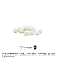 KETONA DE FRAMBOESA - NATURE ESSENTIAL - 300 MG - 60... 2