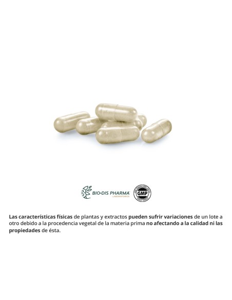 ALCACHOFRA + RABO DE CAVALO - OBIRE - 300 MG - 60 CÁPSULAS
