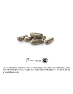 TE VERDE - NATURE ESSENTIAL - 150 MG - 50 CÁPSULAS 2