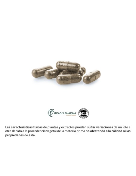 TE VERDE - NATURE ESSENTIAL - 150 MG - 50 CÁPSULAS