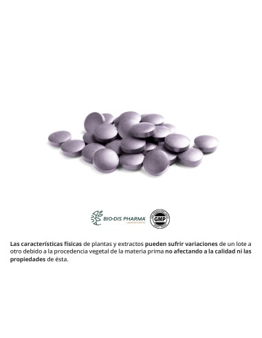 ACAI (EXTRACTO SECO) - OBIRE - 250 MG - 100...