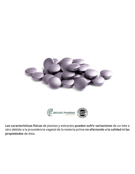 ACAI (EXTRACTO SECO) - OBIRE - 250 MG - 100 COMPRIMIDOS