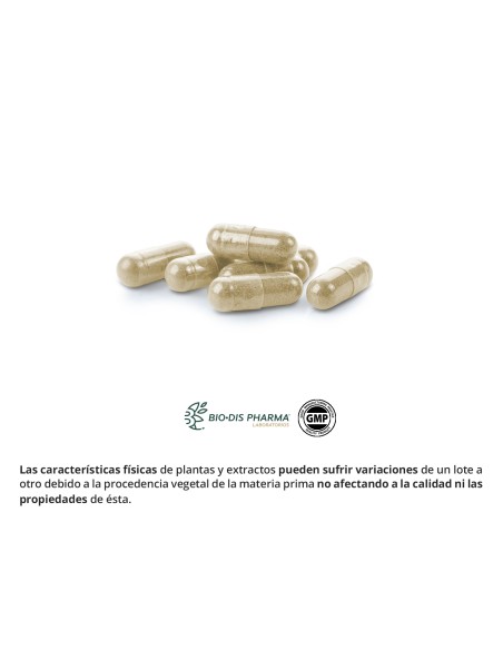 FINO - NATURE ESSENTIAL - 200 MG - 50 CÁPSULAS