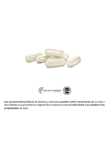 ALCACHOFRA (EXTRACTO SECO) - NATURE ESSENTIAL -...