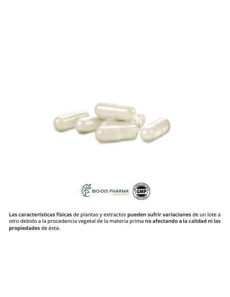 ALCACHOFRA (EXTRACTO SECO) - NATURE ESSENTIAL - 150 MG - 50 CÁPSULAS