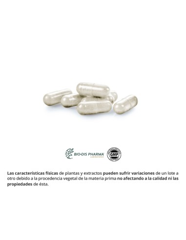 HARPAGOFITO (EXT SECO) - OBIRE - 500 MG - 60...