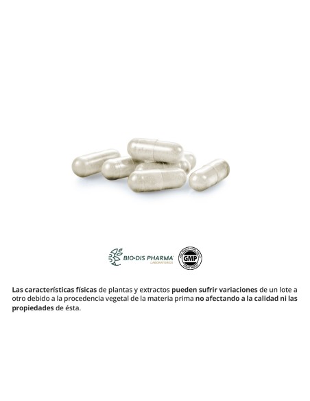 HARPAGOFITO (EXT SECO) - OBIRE - 500 MG - 60 CÁPSULAS