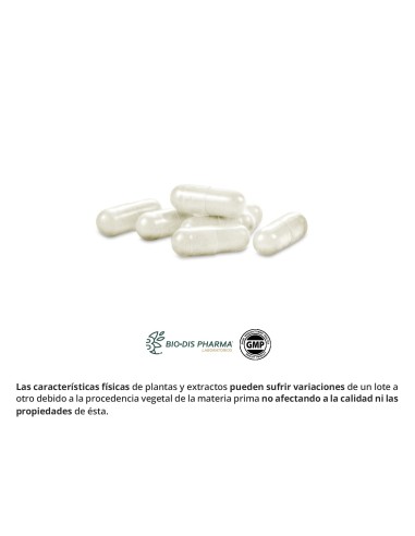 L-LISINA - NATURE ESSENTIAL - 350 MG - 50 CÁPSULAS