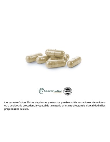 MACA - NATURE ESSENTIAL - 500 MG - 50 CÁPSULAS