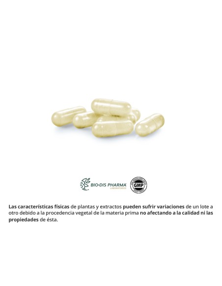 CARDO MARIANO (EXTRACTO SECO) - OBIRE - 200 MG - 60 CÁPSULAS