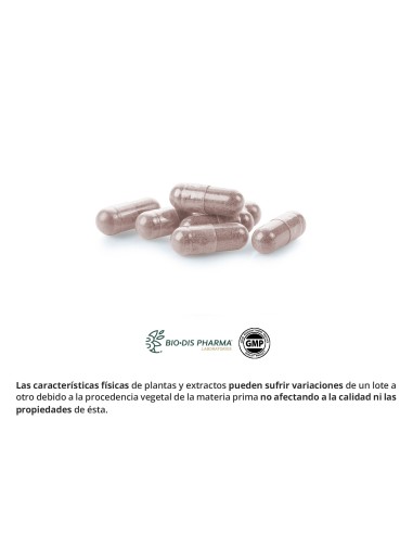 TE VERDE (EXTRACTO SECO) - OBIRE - 150 MG - 60...