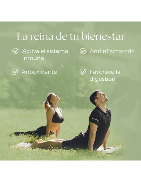 CÚRCUMA COMPLEX - NATURE ESSENTIAL - 5000 MG - 60 CÁPSULAS