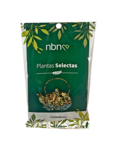 PULMONARIA - NBN - 50 GR