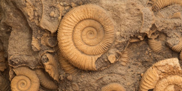 Marrocos é conhecido por ser o lar de alguns dos mais antigos fósseis